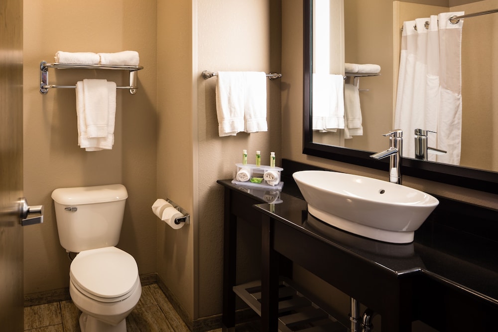 Holiday Inn Express Hotel Amp Suites el Reno 13/36