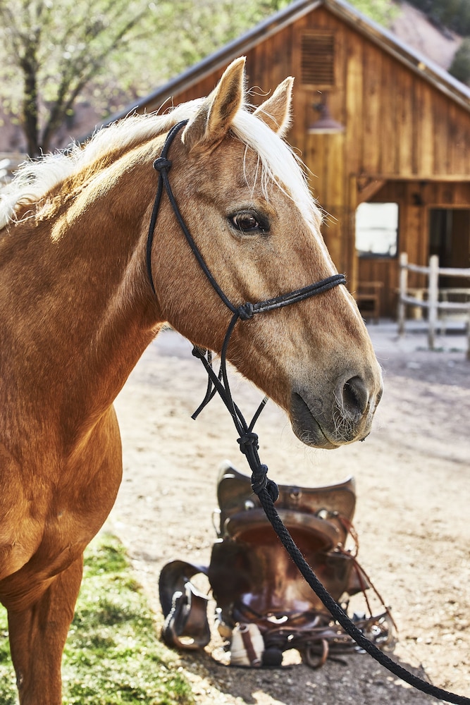 Bishops Lodge Ranch Resort And Spa 33/84
