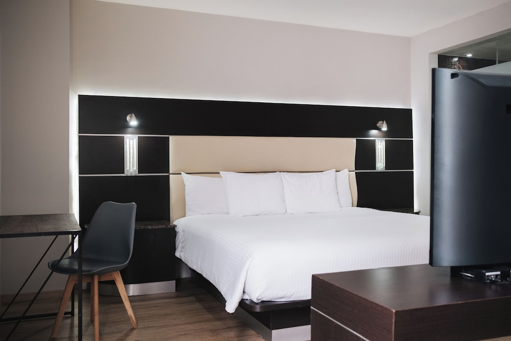 Exe Cities Reforma Ex Nyt Roma Boutique Reforma 34/62