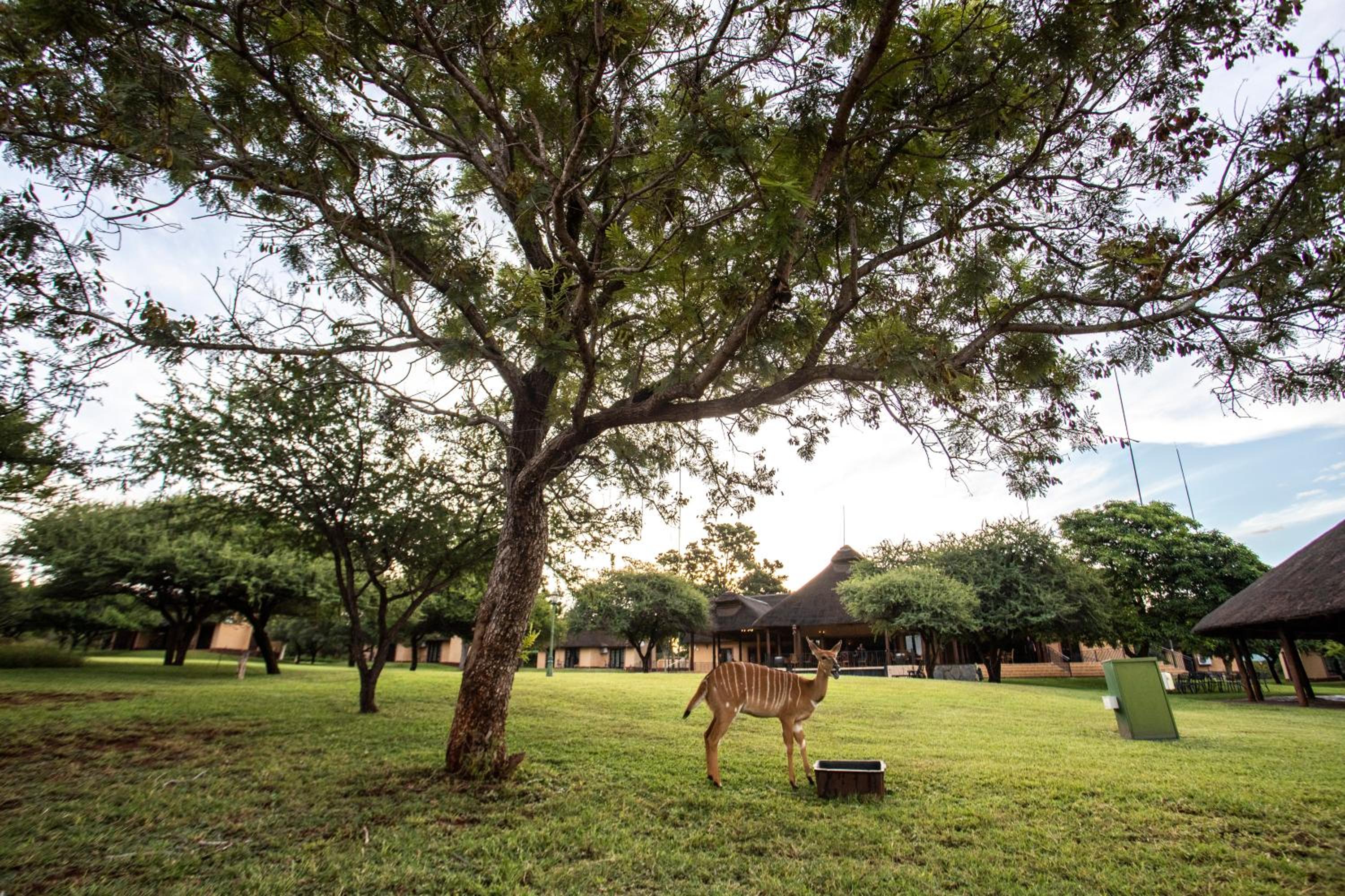 Lapeng Guest Lodge 38/50