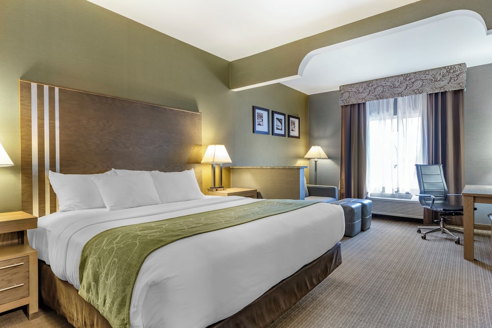 Suite, King Bed, Sofa, Accessible