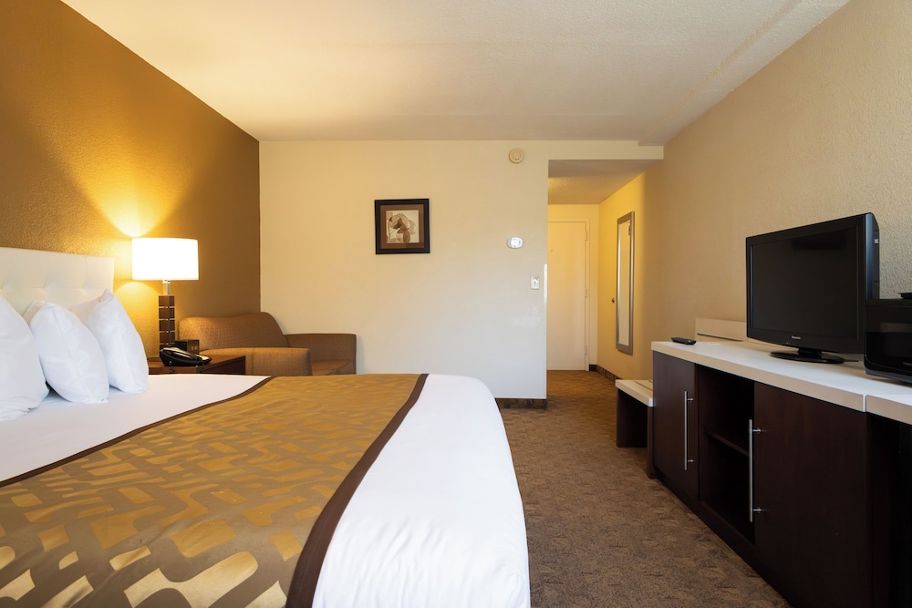 Room, King Bed