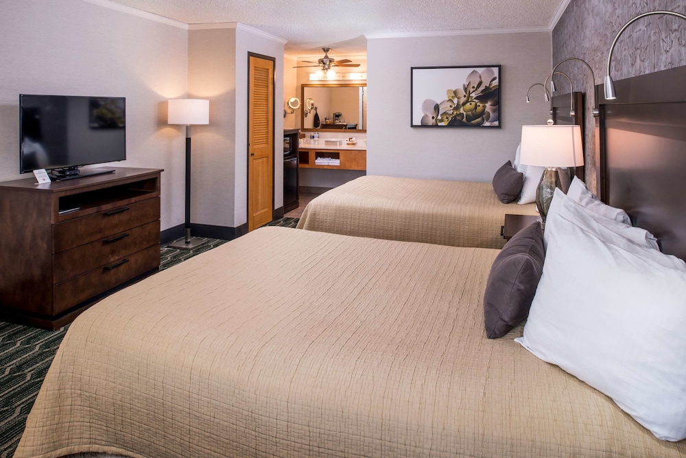 Best Western Plus Black Oak 23/76