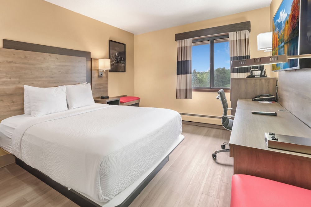 Basic, Single, Queen Bed