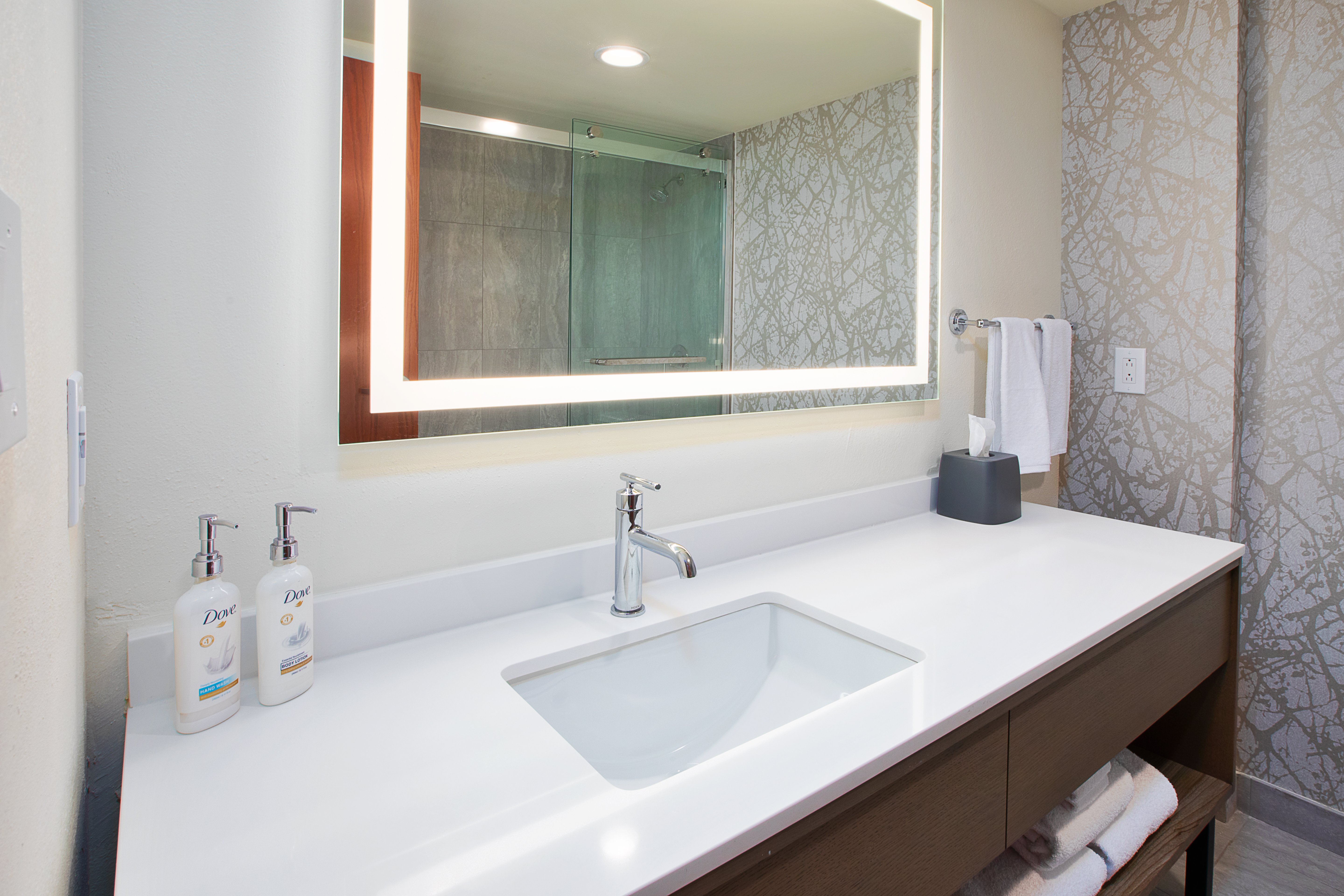 Holiday Inn University Plaza-Bowling Green 69/71