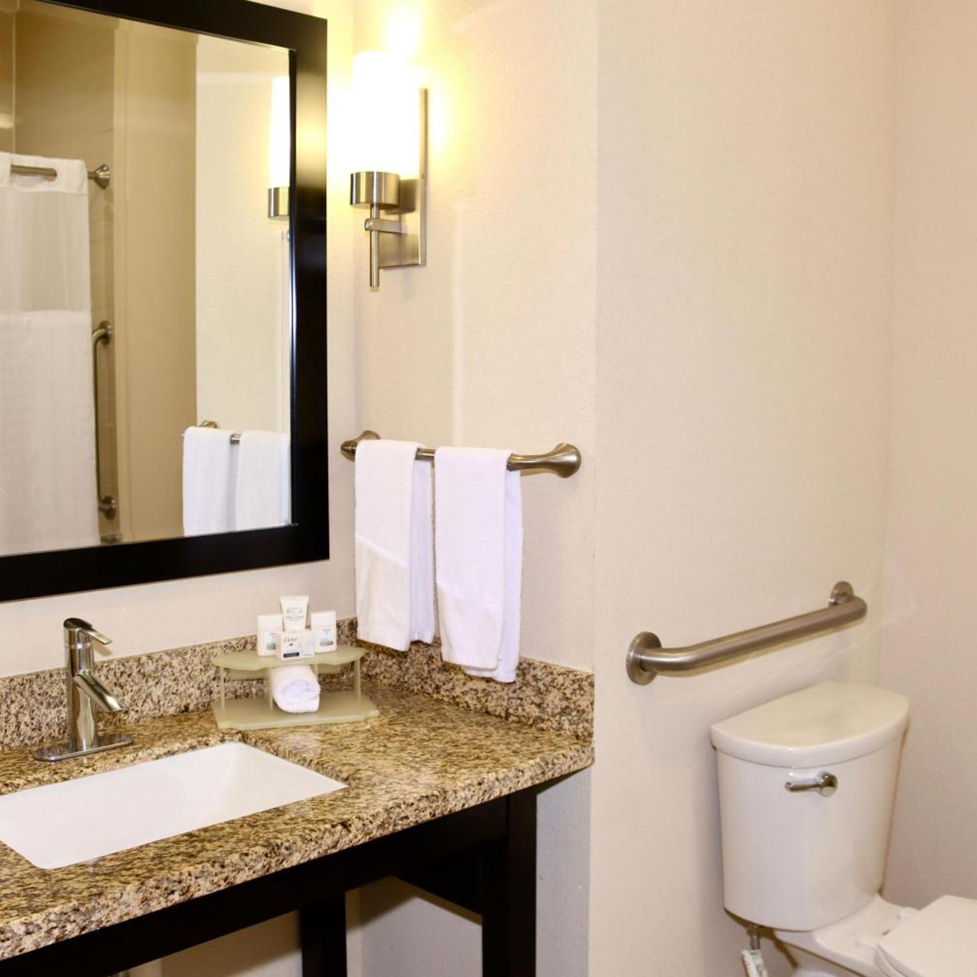 Specialty, Double Bed، Holiday Inn Express Hotel And Suites Houston Northwest Brookhollow 5/5