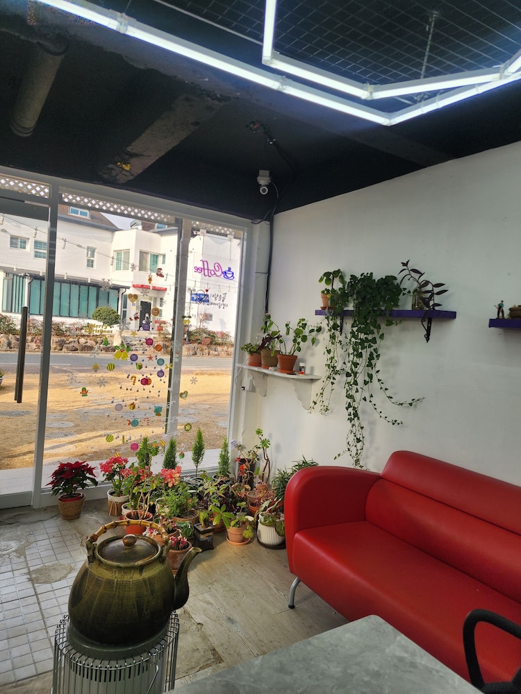 Bellus Rose Pension Hotel 41/64