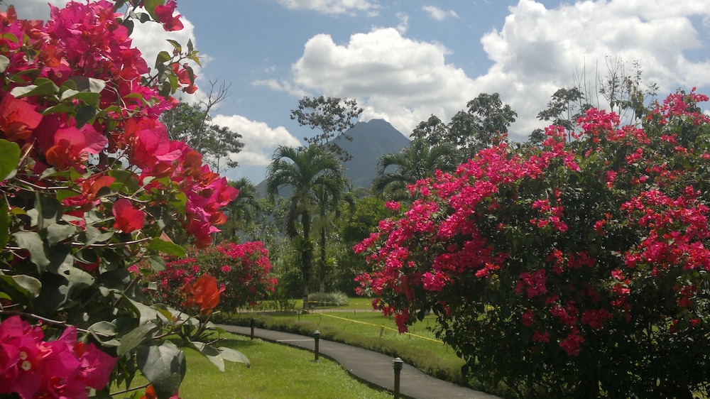 Hotel Eco Arenal 39/50