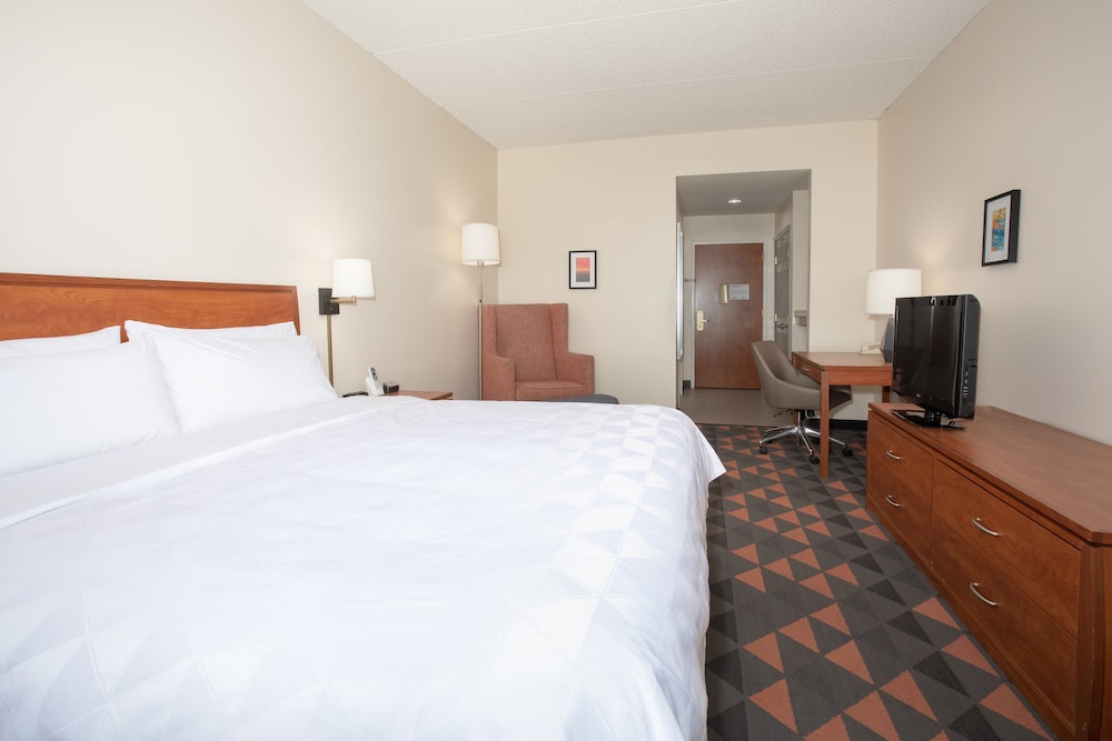 Holiday Inn and Suites Goodyear West Phoenix Area, an IHG Hotel 14/44