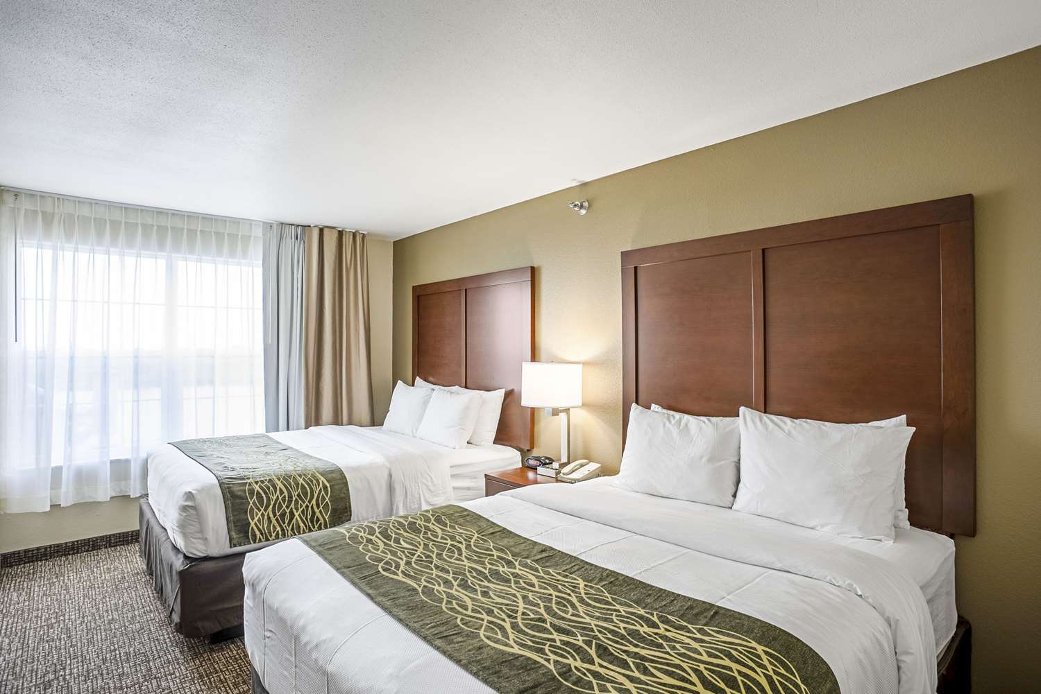 Suite, 2 Queen Beds