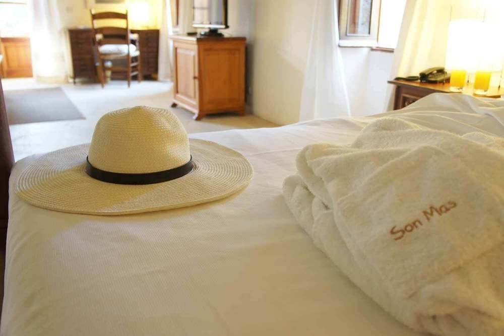 Rural Son Mas Hotel 27/75