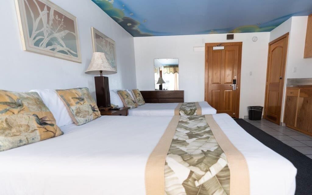 STUDIO, DOUBLE BED, KITCHEN