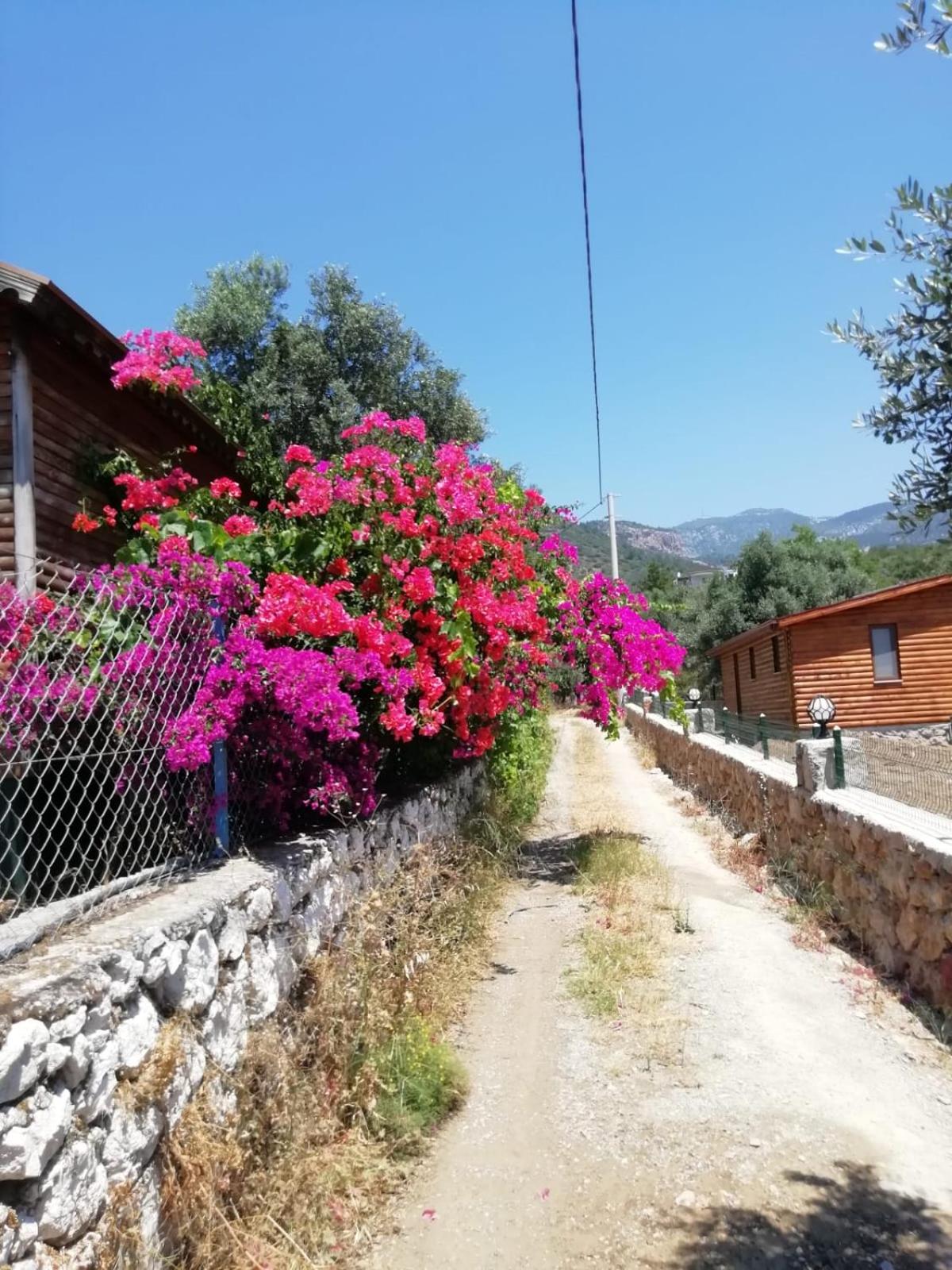 Bahar Bahce Datca 30/39