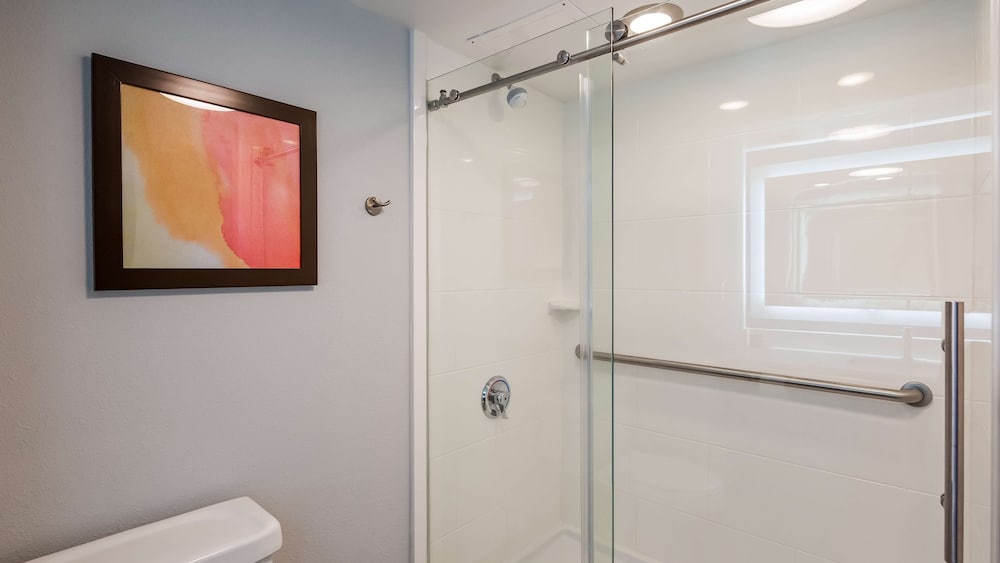 Best Western Plus Lexington Inn 17/41