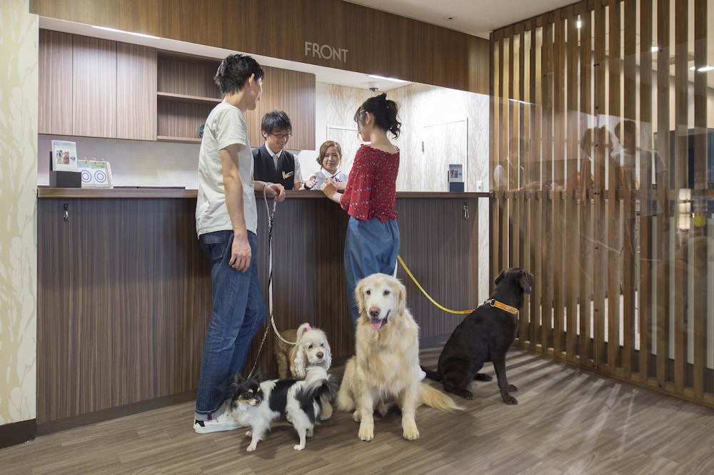 イズミゴ伊豆高原ドッグパラダイスホテル 写真5