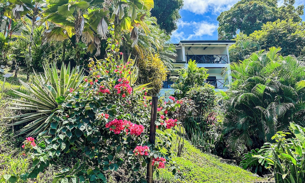 Hotel Villa Roca LGBTQ - Adults Only 44/50