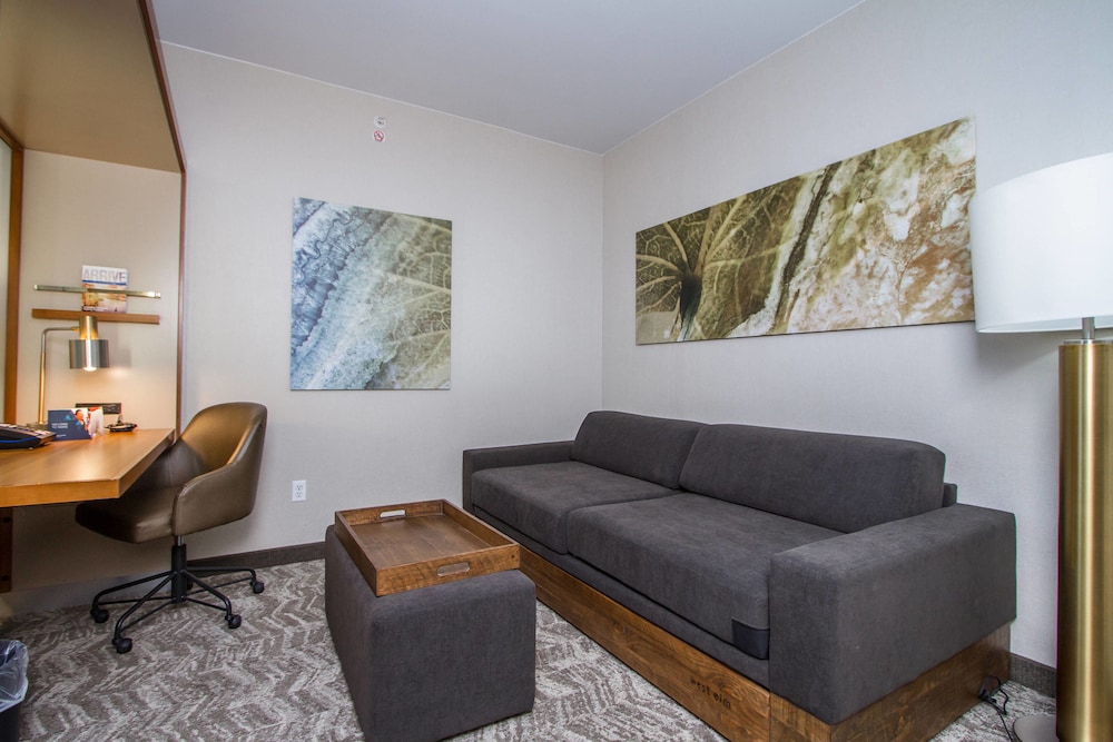 SpringHill Suites by Marriott San Angelo 23/50