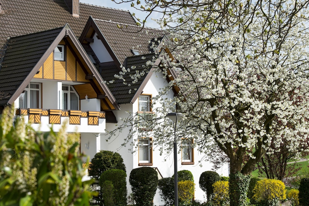 Landhotel Buller 3/46
