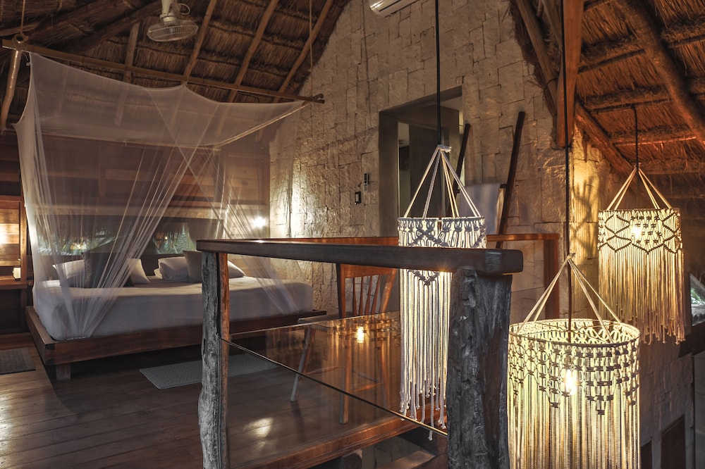 Vida Silvestre Tulum 22/50