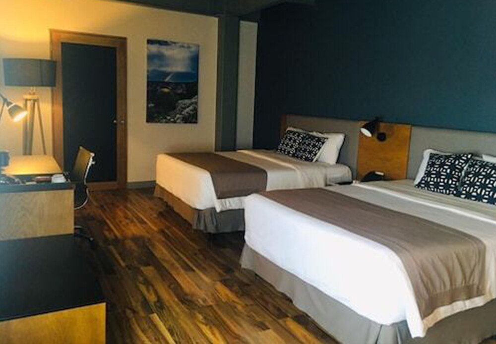 Tryp By Wyndham San Luis Potosi 9/48