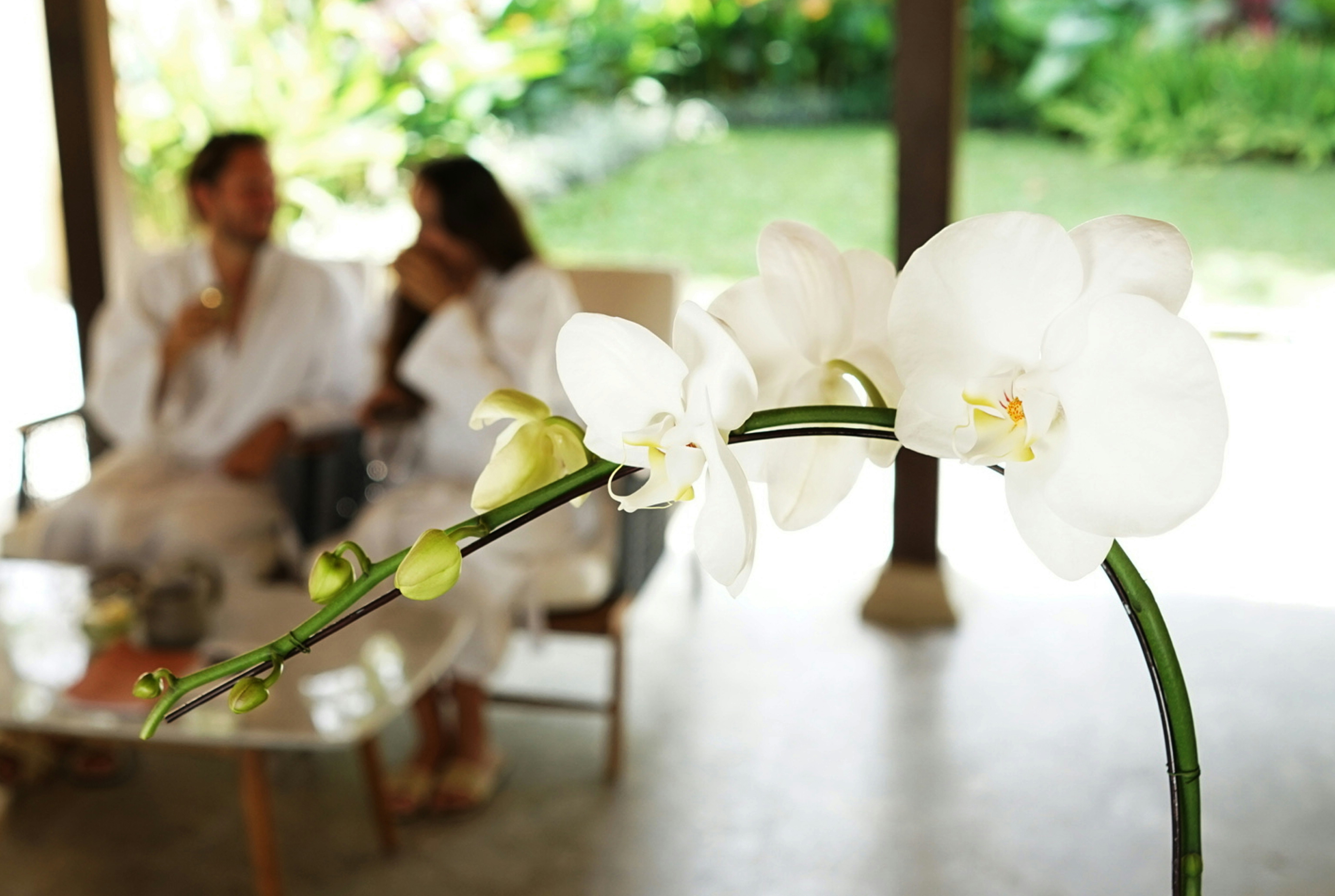 REVIVO Wellness Resort 13/45