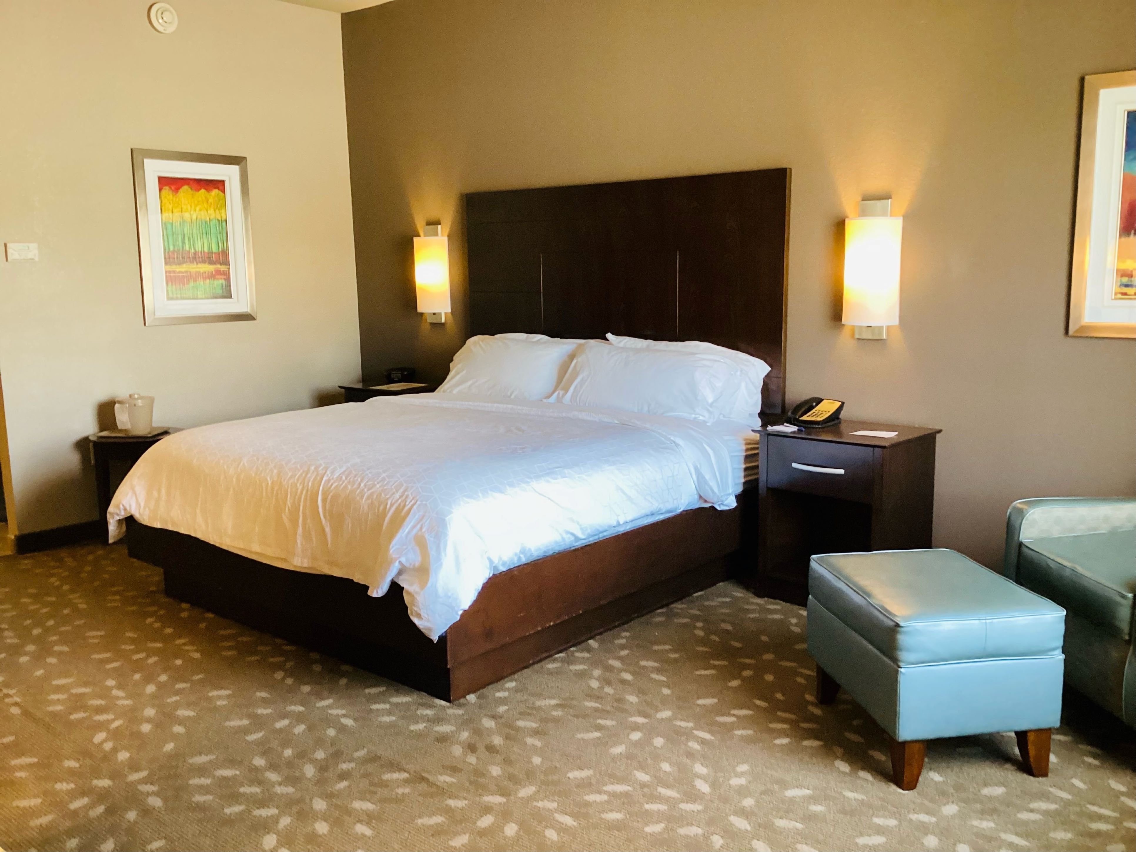 Holiday Inn Express Hotel And Suites Saint Robert Leonard Wood 13/50