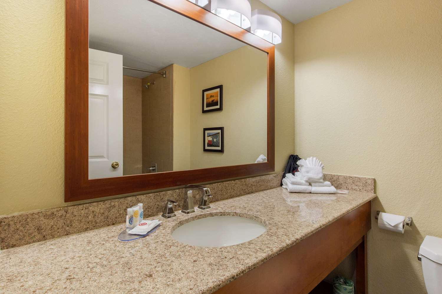 Comfort Inn & Suites SW Houston Sugarland 53/55