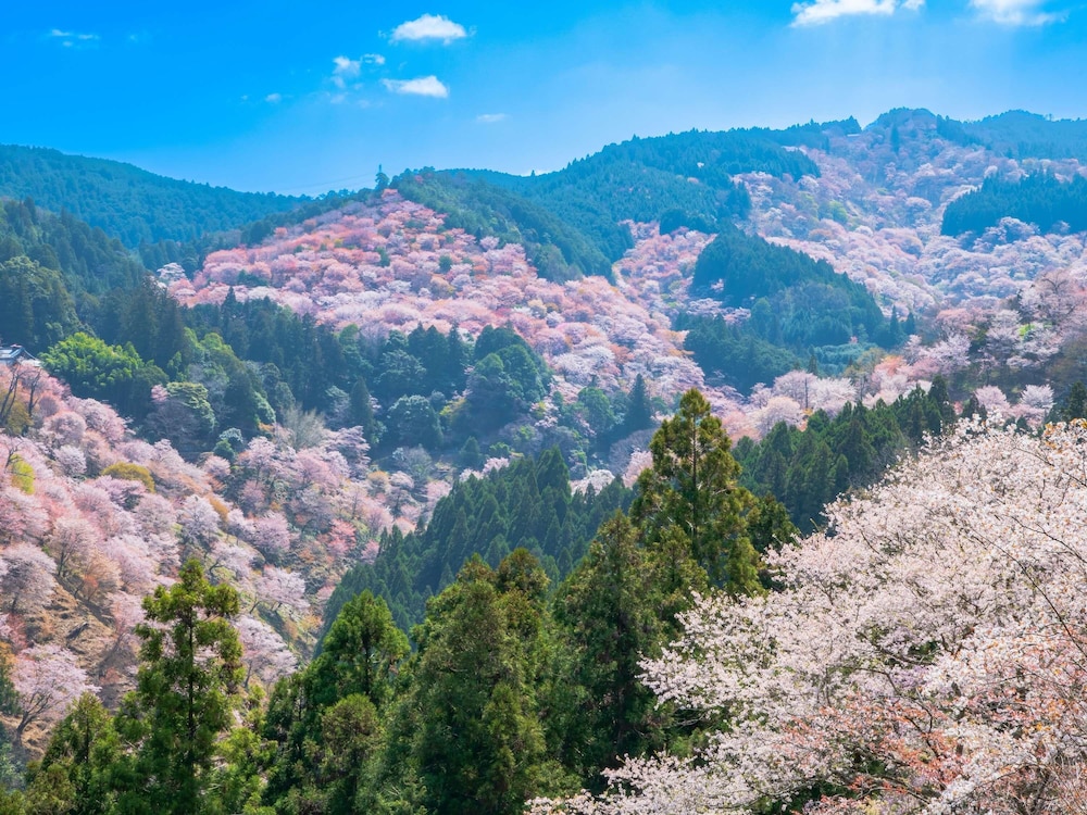 Grand Mercure Nara Kashihara 41/44