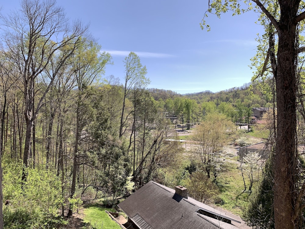 Laurel Inn Condominium 24/50
