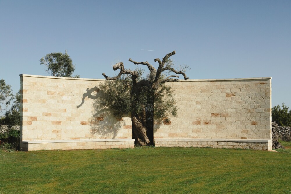 Secolario Masseria Del Viverbene 41/50