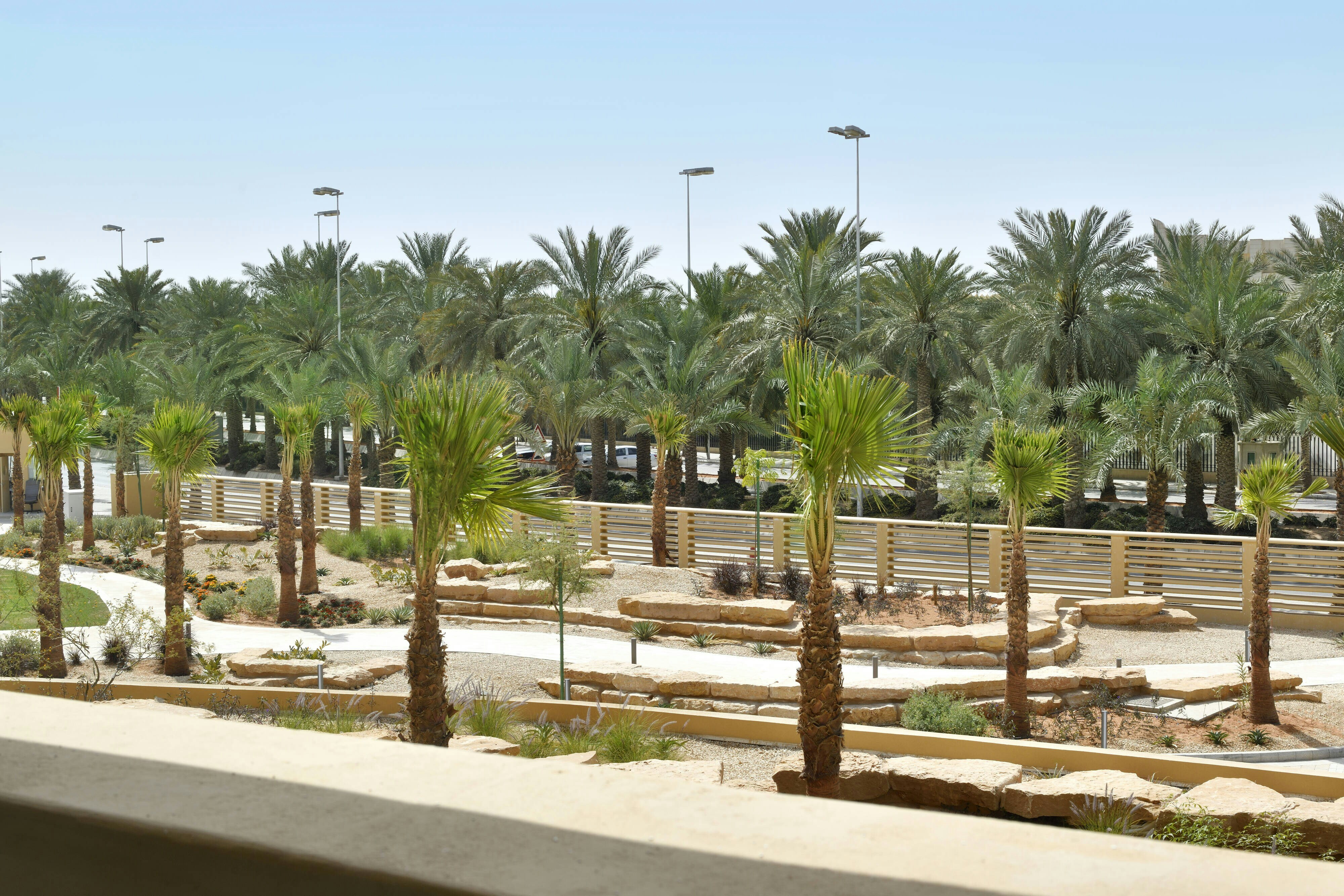 Marriott Riyadh Diplomatic Quarter 42/50