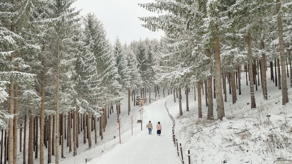 Yong Pyong Resort 36/50