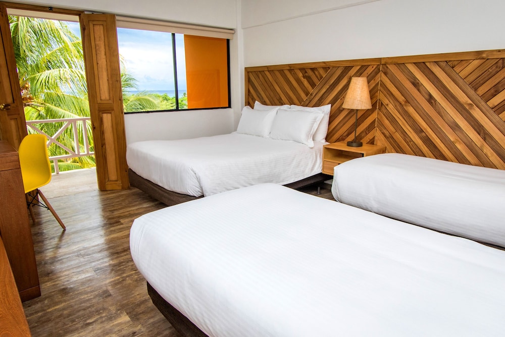 Sol Caribe Campo All Inclusive 15/50