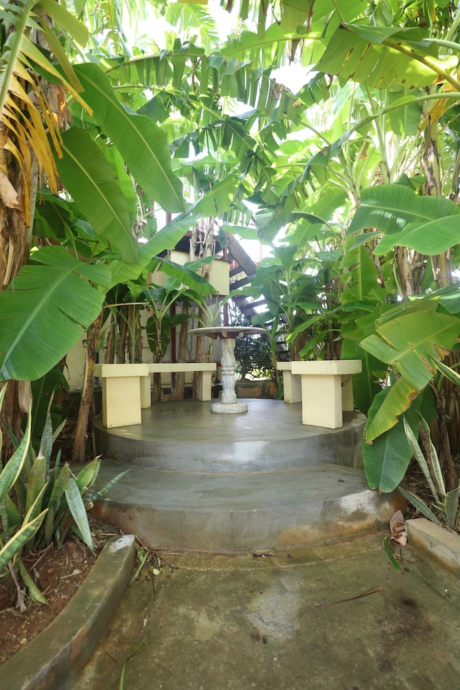 Beach Garden Hotel And Apartment 39/50