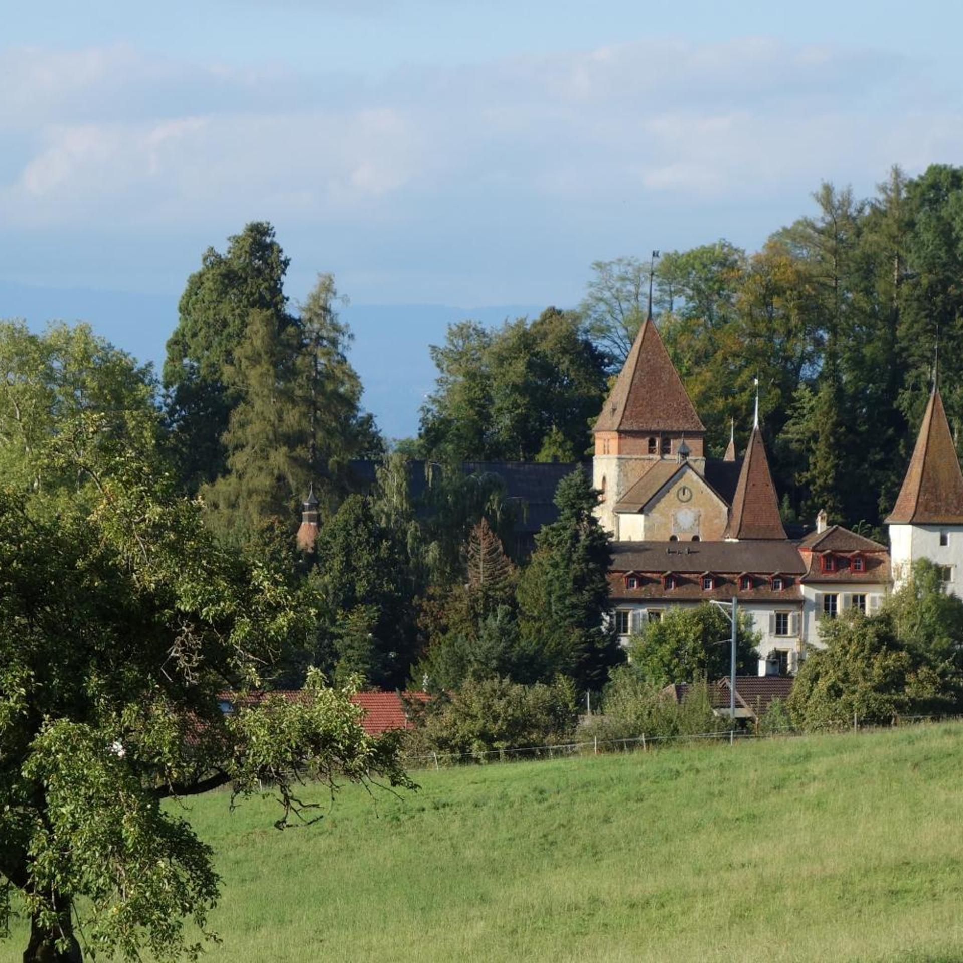 Schloss Muenchenwiler 44/50