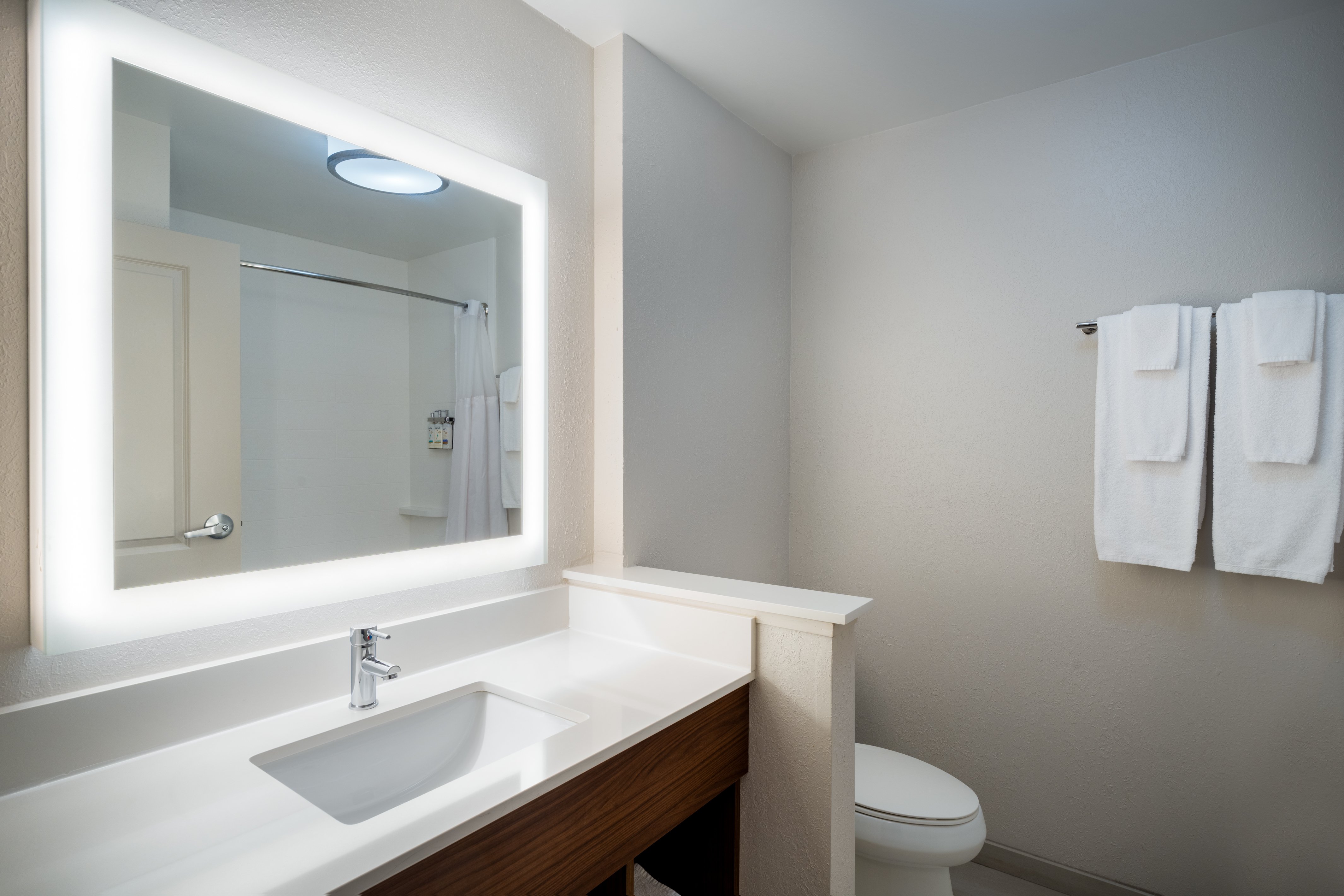 Holiday Inn Express & Suites Lexington W - Versailles 69/70