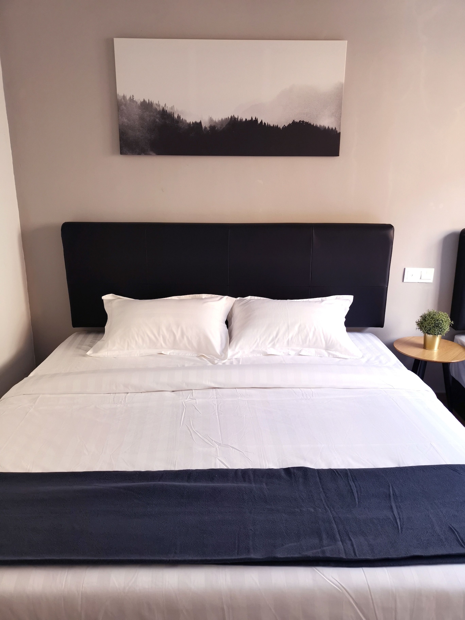 Basic, King Bed, No Window