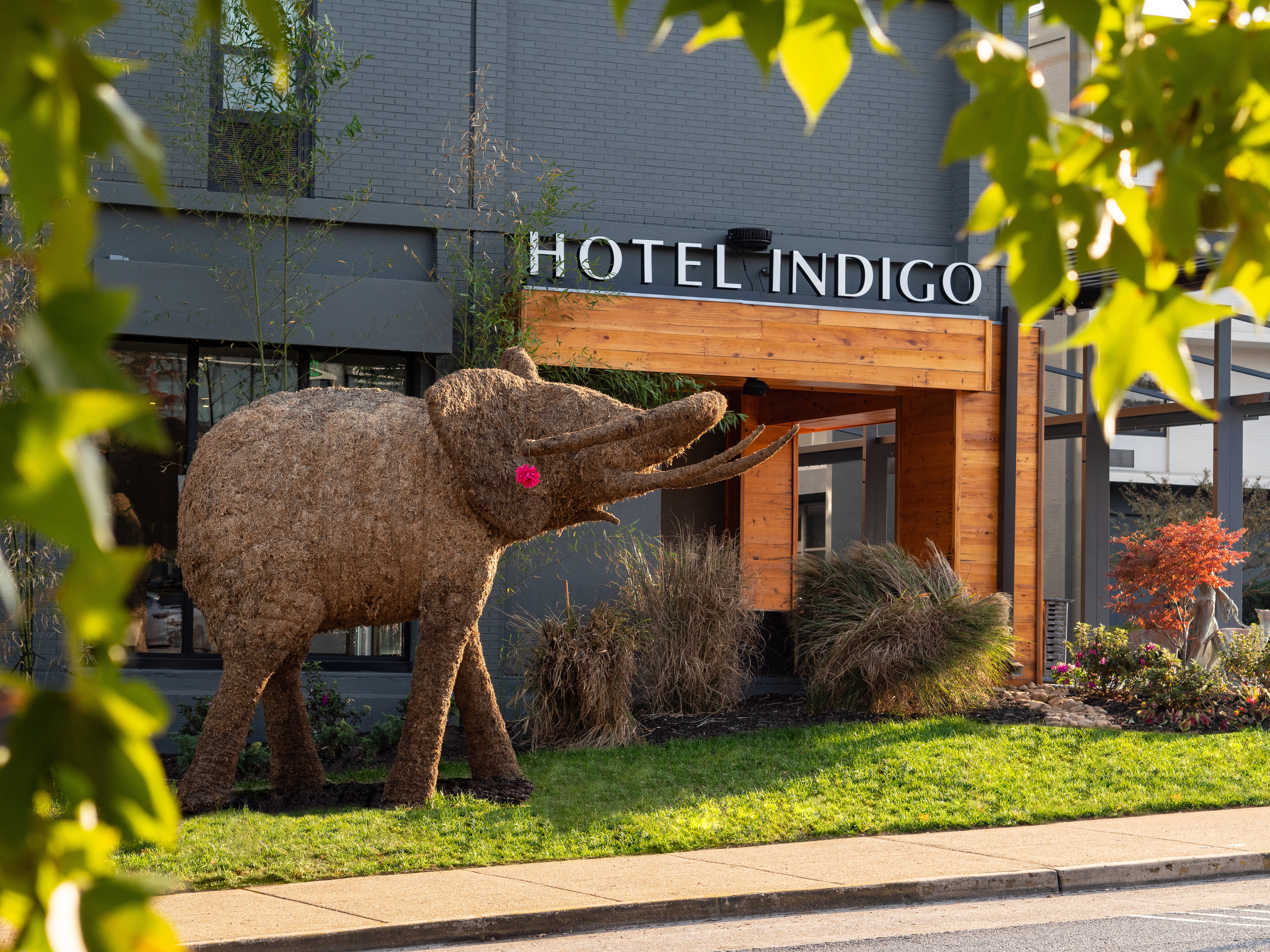 Hotel Indigo Chattanooga Downtown 74/77