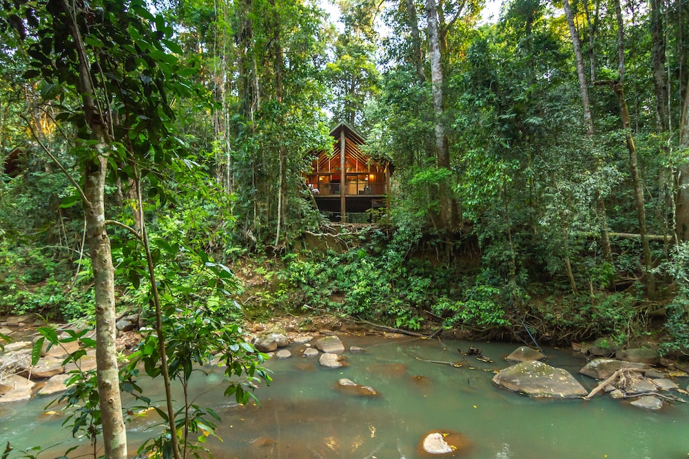 The Canopy Treehouses 19/25