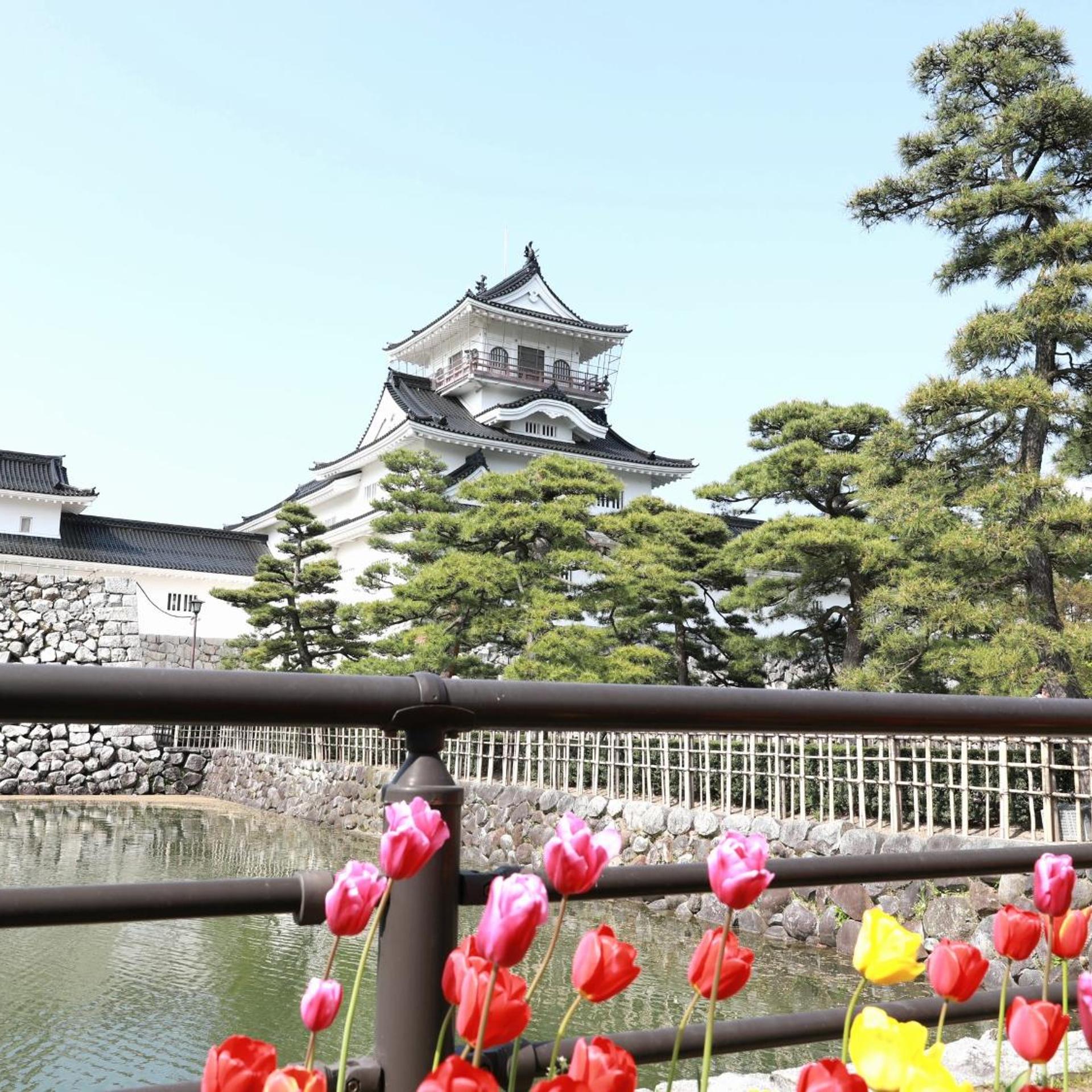 Toyama Town Hotel 48/54