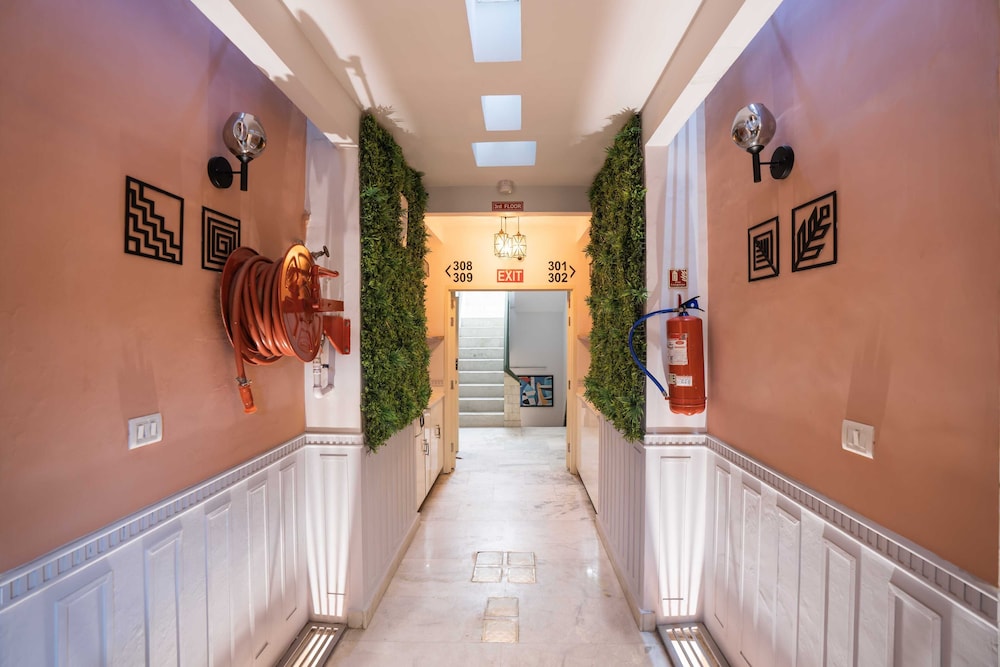 Zostel Delhi 8/50
