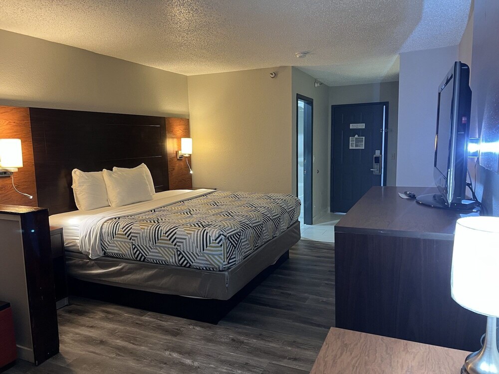 1 King Bed - Non-Smoking, Micfridge, Sofa-Bed