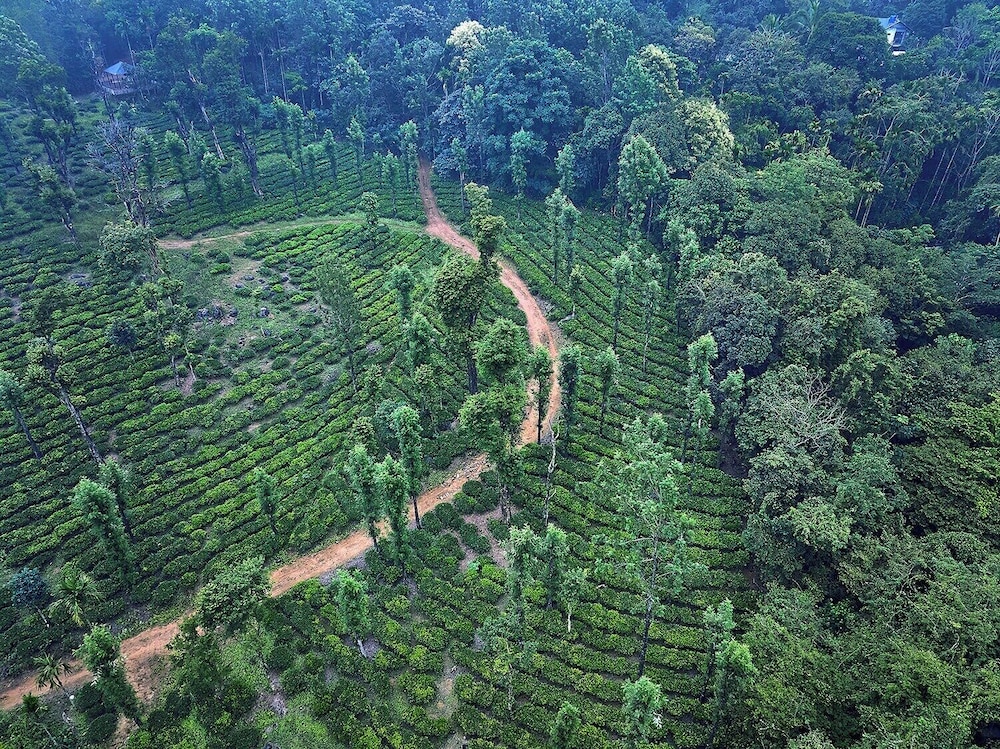 BANASURA HILL RESORT 37/50