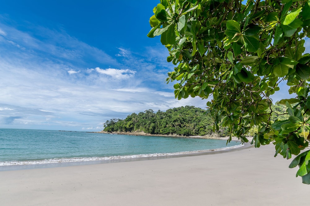 Manuel Antonio 35/49
