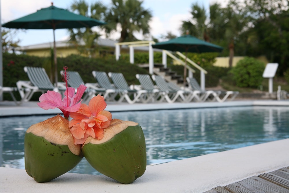 Green Turtle Club Resort Marina 38/46
