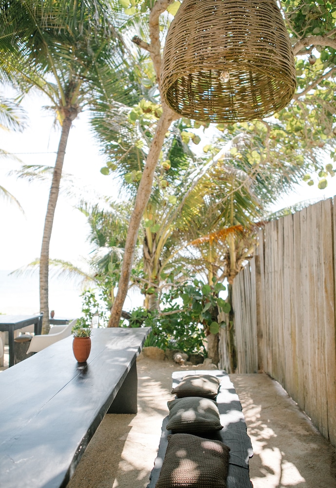 NEST Tulum 24/50