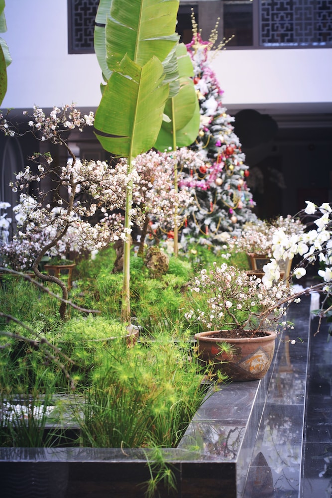 Lotus Aroma Sapa Hotel 38/40