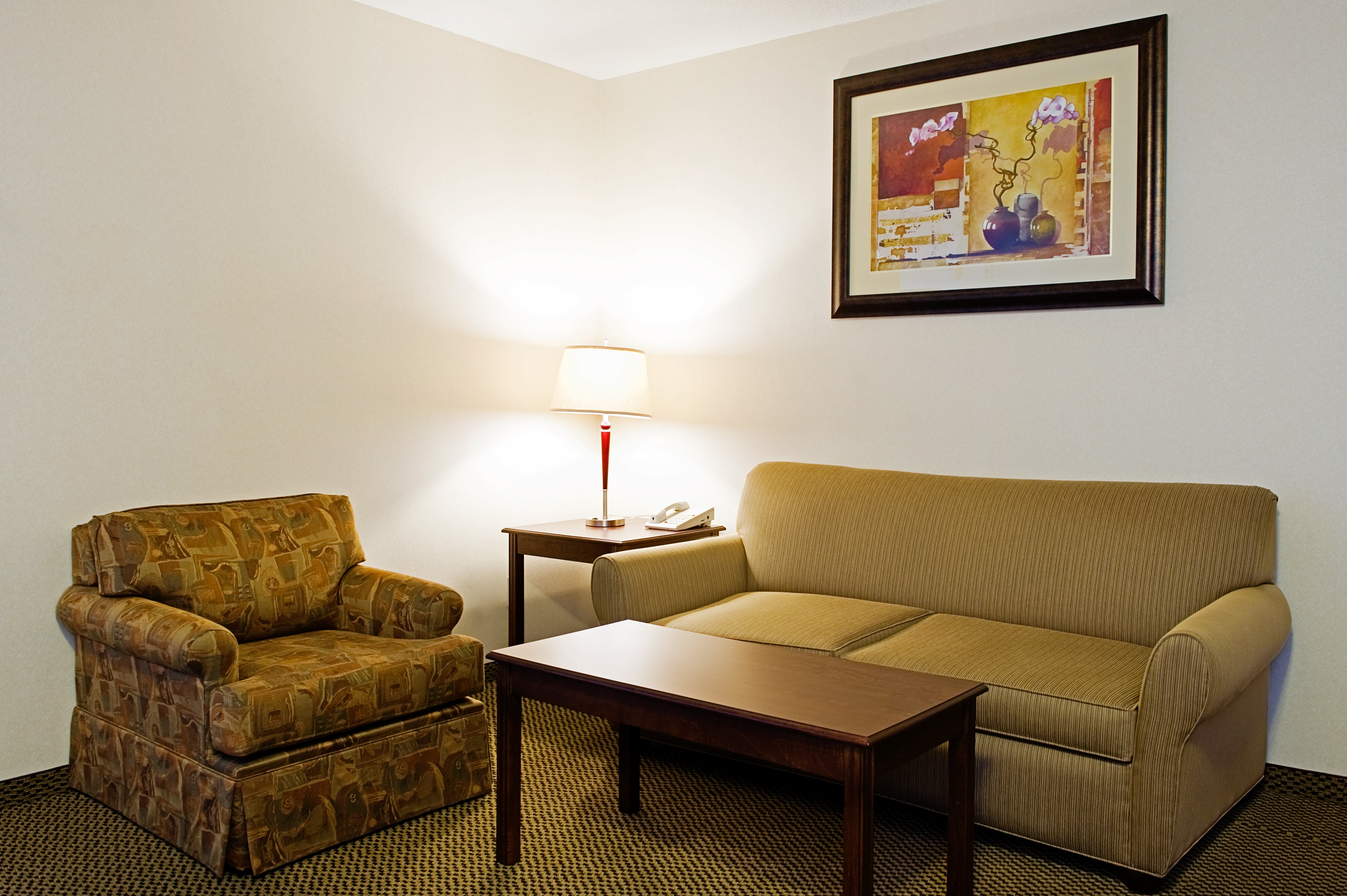 Holiday Inn Express Hotel & Suites Drayton Valley 31/50
