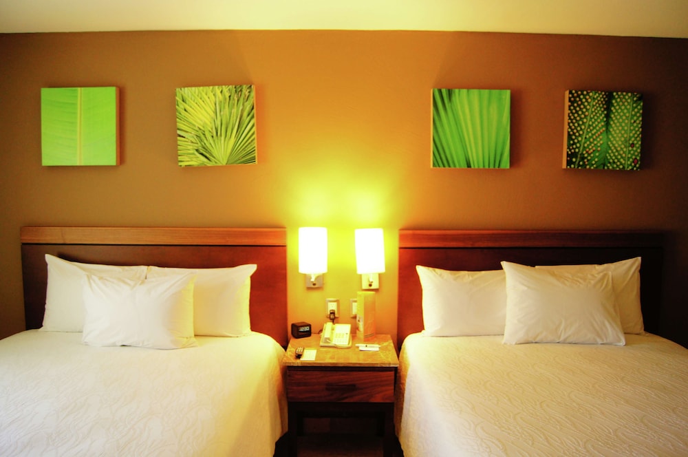 Hilton Garden Inn Boca Del Rio Veracruz 17/78