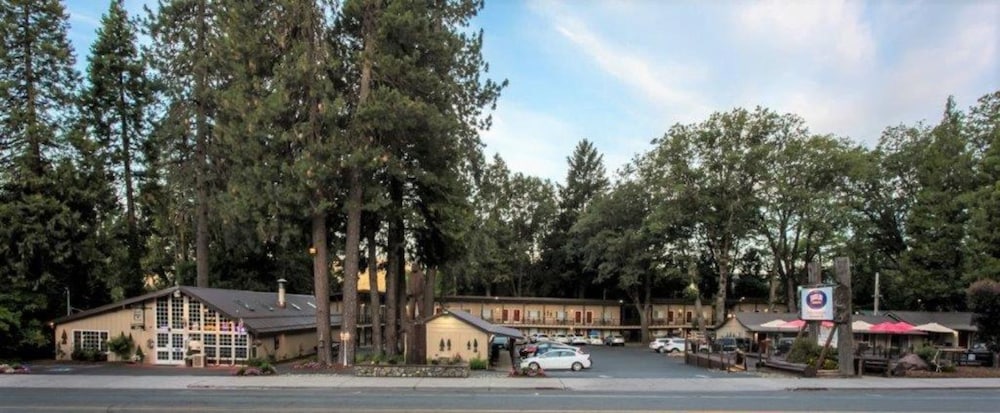Shasta Inn 39/46